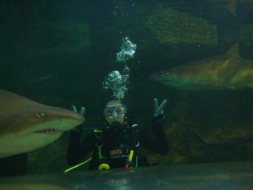 regina with sharks
