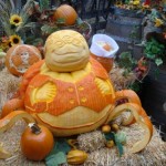 Carved Pumpkins in Frontierland