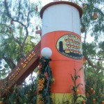 Cand Corn Acres