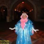DSC05047