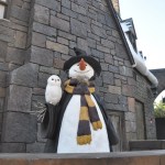 Harry Potter - 06