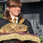 Harry Potter - 13