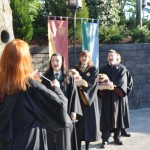 Harry Potter - 16