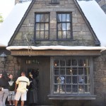 Harry Potter - 20
