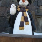 Harry Potter - 69