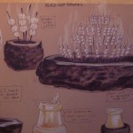 Kukui nuts, or candle nuts, used by ancient Hawaiians for both food and light, are the inspiration for chandeliers.