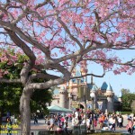 Sleeping Beauty Castle