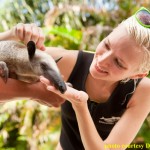 Survivor Villain Courtney Yates meets Discovery Cove's tamandua, Cypress