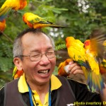 Survivor Yau-Man Chan meets Discovery Cove's sun conures