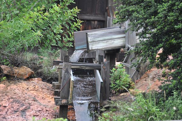 magickingdomjuly4071