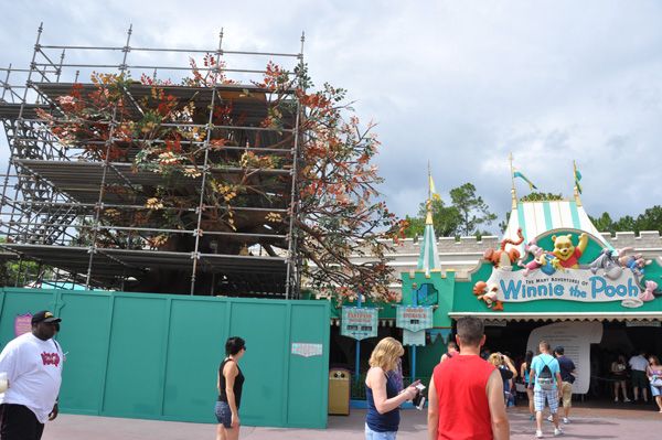 magickingdomjuly4145