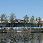 IMG_5427