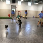IMG_6461