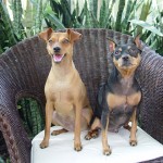 Zoe and Bailey