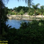 DSC06055