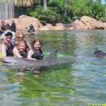 Discovery_Cove_dolphin