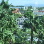 IMG_0102