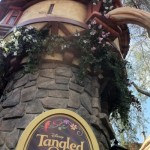 Tangled DL Bouganvilla