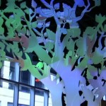 TDS Santa Monica Projection Trees