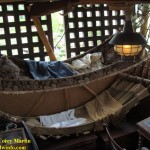 Swiss-Family-Treehouse-8
