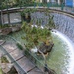 DLR refurb-horseshoe falls