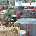 DL - Reindeer Decor 2