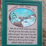 DL - Reindeer Fact sign 1