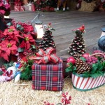 DL Rustic Holiday Decor -  Planters and pinecone trees