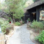 DL Rustic Holiday Decor - Walkway ideas