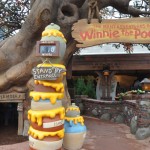 The Many Adventures of Winnie the Pooh at Magic Kingdom