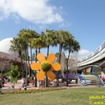 Epcot_Flower_Garden_Festival_021