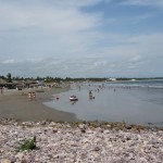 IMG_0557