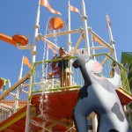 DSC06572