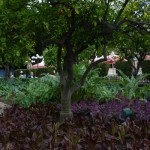DL Spring Flowers Tomorrowland to Pixie Hollow