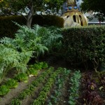 DL Spring Flowers Tomorrowland veggies