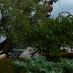 DL Spring Flowers Tomorrowland Orange trees