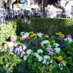 DL Spring Flowers Carousel