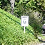 DL Autopia Speed limit
