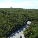DSC06901
