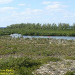 DSC06902
