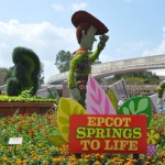 Epcot International Flower and Garden Festival 2011