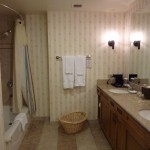 DL PPH Suite Master Bath 2