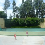 DLH History - The Dancing Waters