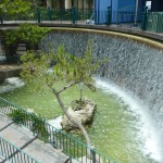 DLH History - The Waterfalls from the West Side
