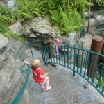 DLH History - Heading down the Waterfall Staircase