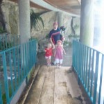 DLH History - Walking Under the Waterfall Bridge