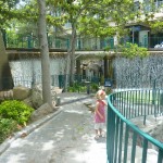 DLH History - Walking down to the Waterfall