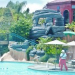 DLH History - Neverland Pool Skull Rock