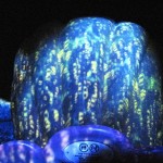 IMG_0090