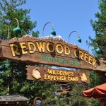 redwood01